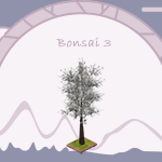 Japanese Bonsai Tree 3