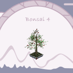 Japanese Bonsai Tree 4