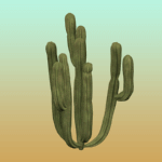 Plain Large Cactus 2