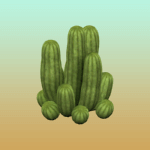 Plain Large Cactus 3