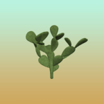 Plain Large Cactus 4