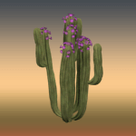 Flowered Large Cactus 2