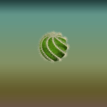 Plain Round Cactus 1