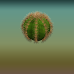 Plain Round Cactus 2