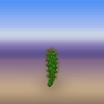 Plain Round Cactus 2