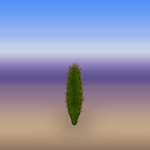 Plain Round Cactus 4