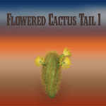 Flowered Round Cactus 1