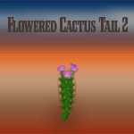 Flowered Round Cactus 2