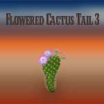 Flowered Round Cactus 3