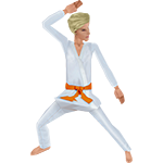 Karate Kids - Orange Belt