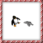Pet Jarod the Penguin