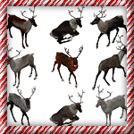 Santa's Reindeer Pack
