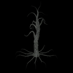 pooky Tree 6