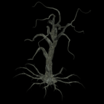 pooky Tree 8